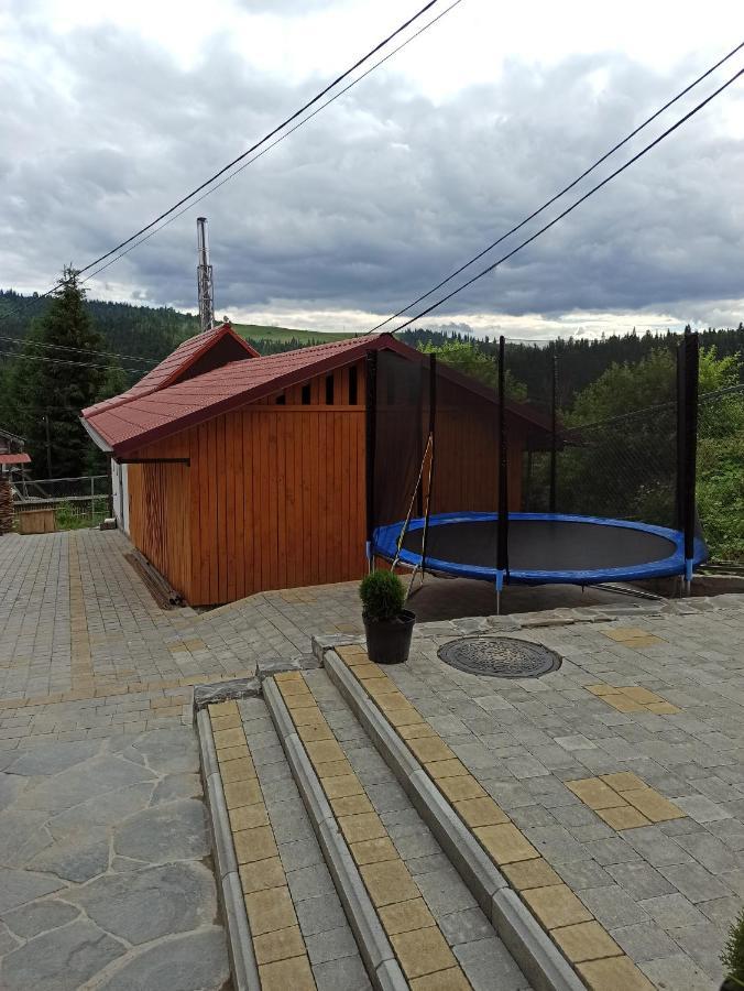 Brand New 2020 Specious Apartment Druzi 2 Palyanytsya Buitenkant foto