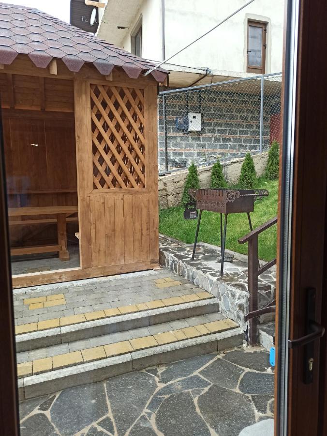 Brand New 2020 Specious Apartment Druzi 2 Palyanytsya Buitenkant foto