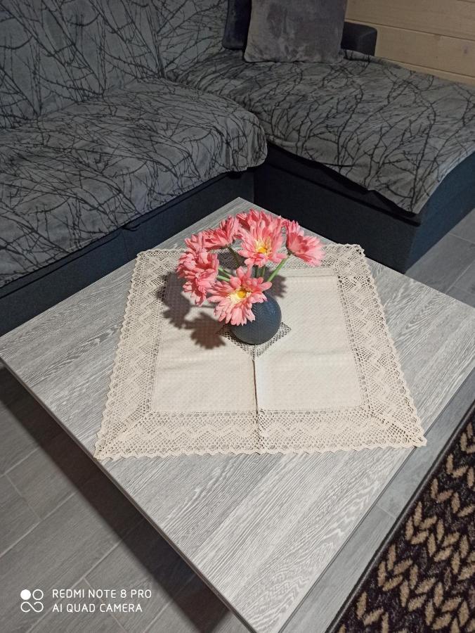 Brand New 2020 Specious Apartment Druzi 2 Palyanytsya Buitenkant foto