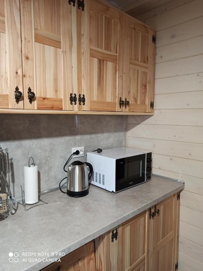 Brand New 2020 Specious Apartment Druzi 2 Palyanytsya Buitenkant foto