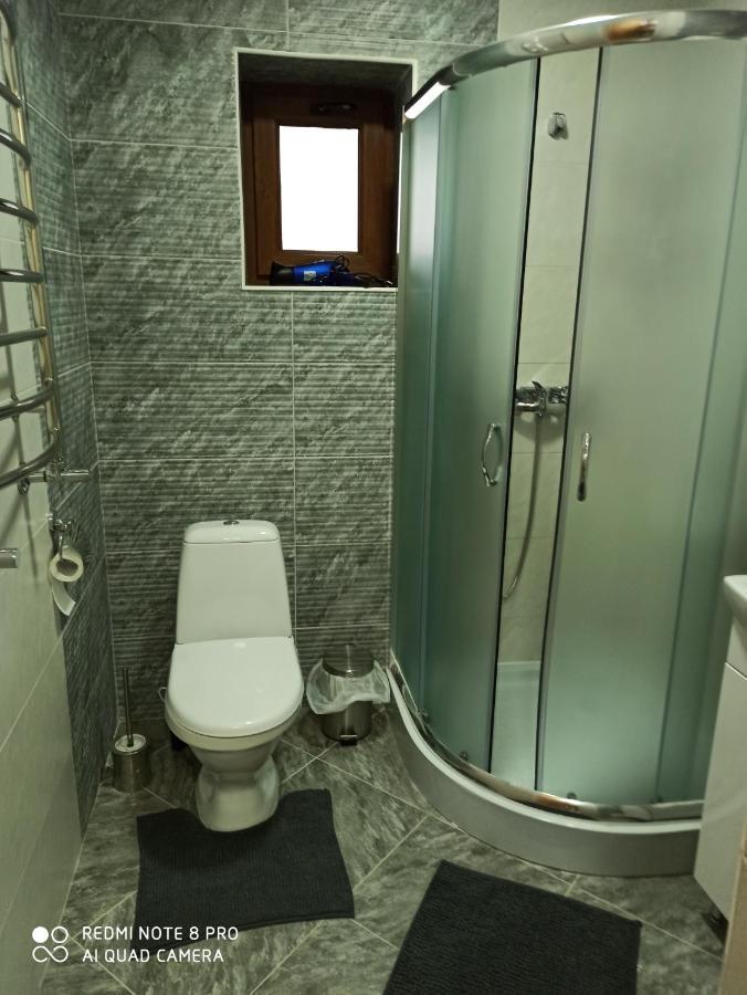 Brand New 2020 Specious Apartment Druzi 2 Palyanytsya Buitenkant foto