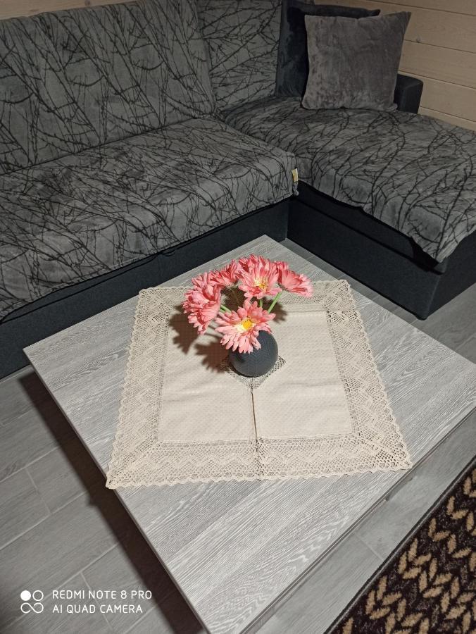 Brand New 2020 Specious Apartment Druzi 2 Palyanytsya Buitenkant foto